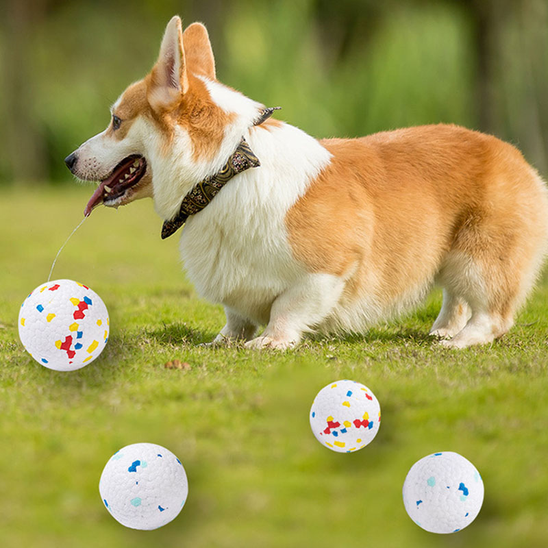 Premium Quality Toy