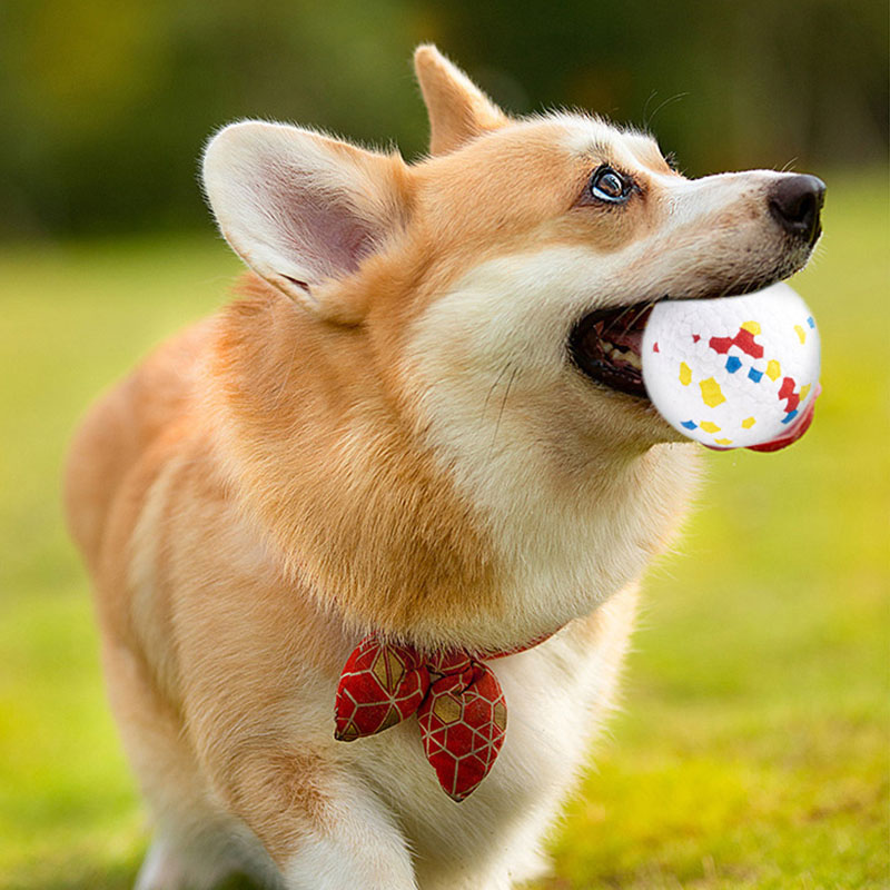 Eco-Friendly Toy