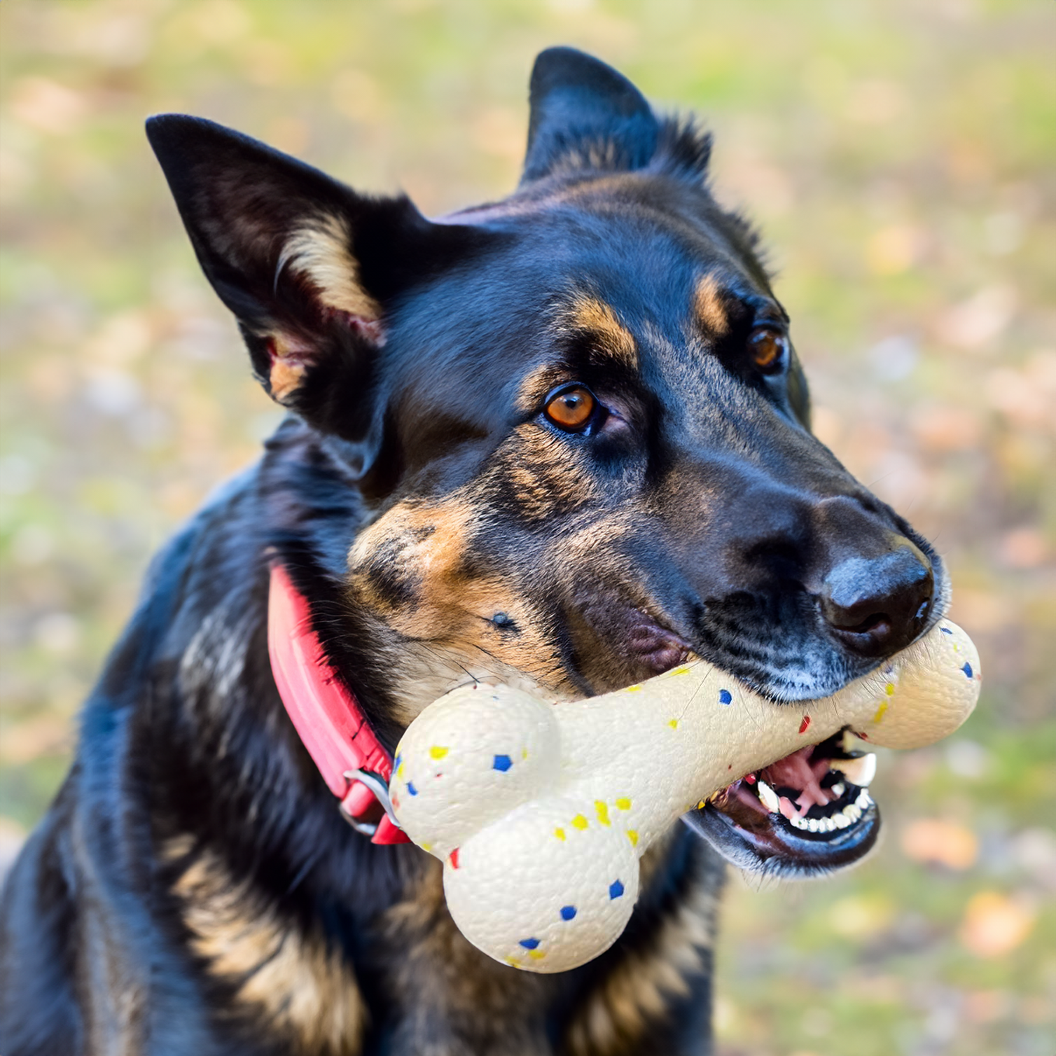 Eco-Friendly Toy